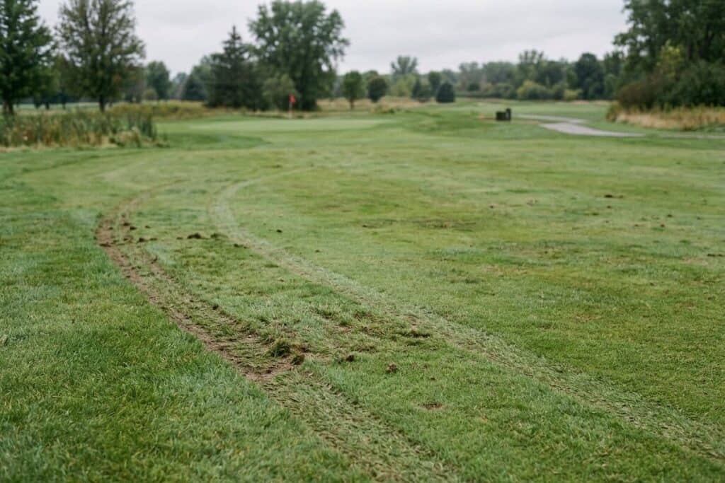 Golf Course Turf Damaged by Golf Cart